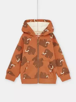 Толстовка на молнии для мальчика