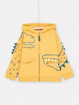 Толстовка на молнии для мальчика