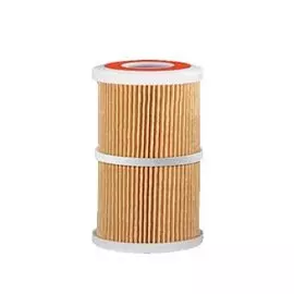 Картридж 4" Atlas Filtri 25 мкм плиссированная бумага (CS) СX RA5031111