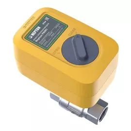 Кран с электроприводом Neptun Profi ССТ 3/4" 220В 43054115000002