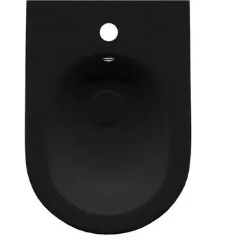 Биде напольное Allen Brau Reality 4.32005.31 черное