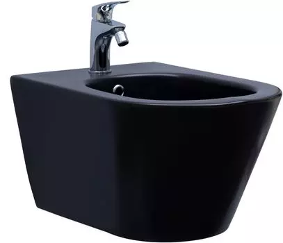 Биде подвесное Aquanet Lake LAKE-B2B черное