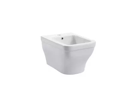 Биде подвесное Aquatek Амадео AQ1663-00 белое