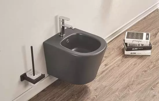 Биде подвесное CeramaLux 5330MDH графит