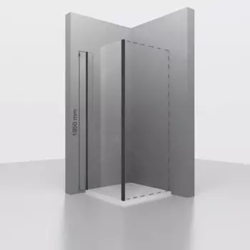 Боковая стенка RGW Z-050-2B 120х195 профиль черный, стекло прозрачное