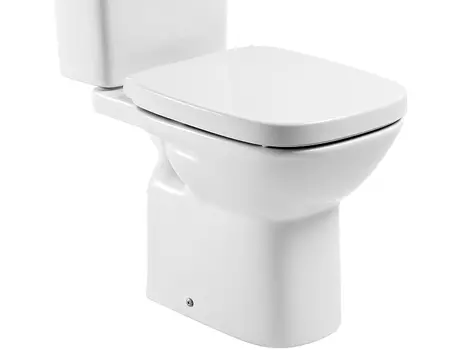 Чаша унитаза Roca Debba 734299700Y