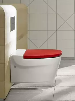 Чаша унитаза Roca Khroma 7346657000