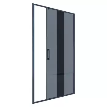 Душевая дверь Alex Baitler 110х200 см AB64B110 профиль черный