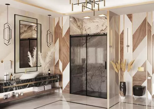 Душевая дверь Ambassador Benefit 150x200 19022204HBB стекло тонированное, профиль черный