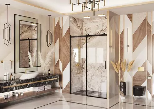 Душевая дверь Ambassador Benefit 160x200 19021205HB стекло прозрачное, профиль черный