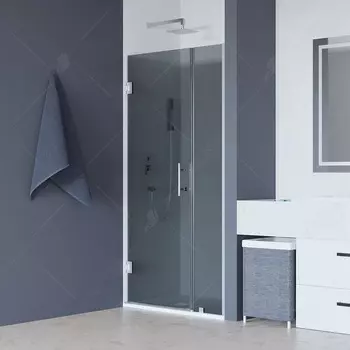 Душевая дверь в нишу RGW Hotel HO-012 110 см профиль хром, стекло тонированное
