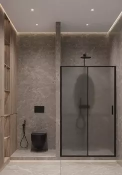 Душевая дверь Timo 120x195 T02 стекло матовое, профиль черный