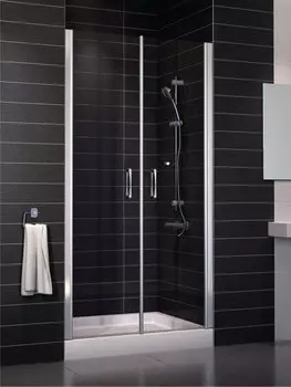 Душевая дверь Vegas-Glass E2P 0090 08 10