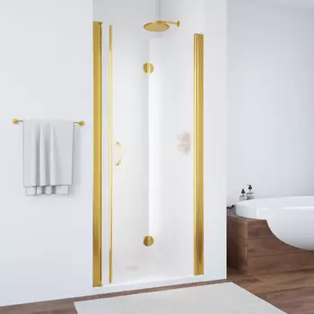 Душевая дверь Vegas-Glass GPS 0095 05 05