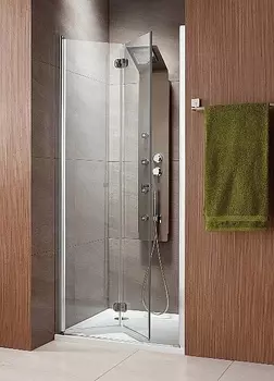 Душевая дверь в нишу Radaway EOS DWB 70 R transparent