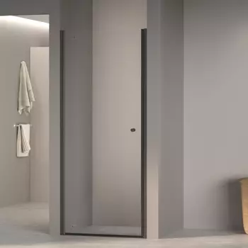 Душевая дверь в нишу RGW Dolphin TN-03-B 90x195 54930309-14 стекло прозрачное, профиль черный