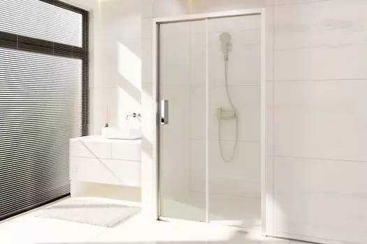 Душевая дверь в нишу Royal Bath Accord 120х200 RB HS-T-ST стекло прозрачное, профиль сатин