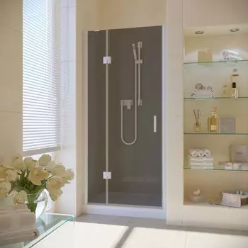 Душевая дверь в нишу Vegas-Glass AFP Lux 100x199 AFP LUX 100 01 07 стекло графит, профиль белый