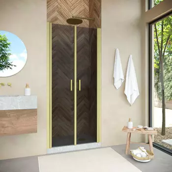 Душевая дверь в нишу Vegas-Glass Е2Р Novo 120x189 Е2Р NOVO 120 03 07 стекло графит, профиль матовое золото