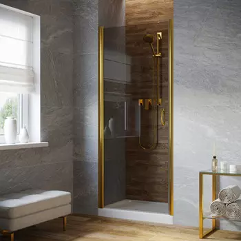Душевая дверь в нишу Vegas-Glass EP Lux 95x199 EP LUX 95 09 07 стекло графит, профиль глянцевое золото