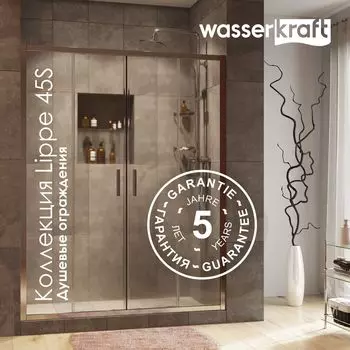 Душевая дверь в нишу Wasserkraft Lippe 45S09 стекло прозрачное, профиль хром