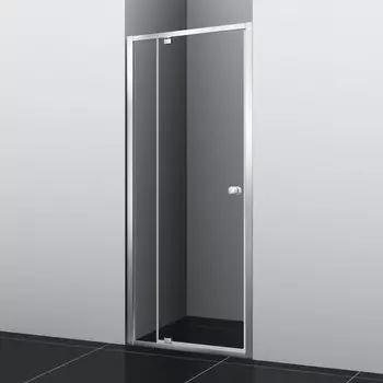 Душевая дверь Wasserkraft Aula 11P 100x190 11P12 стекло прозрачное, профиль хром