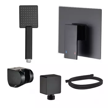 Душевой гарнитур Swedbe Platta 5551B