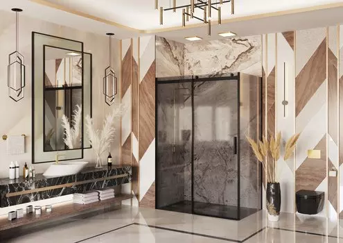 Душевой уголок Ambassador Benefit 160x100 19022205HBB-100HBB стекло тонированное, профиль черный, без поддона