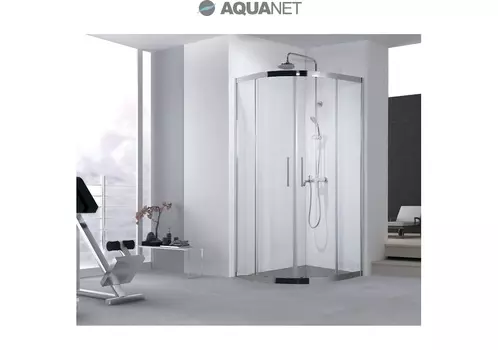 Душевой уголок Aquanet NPE2142 100x100