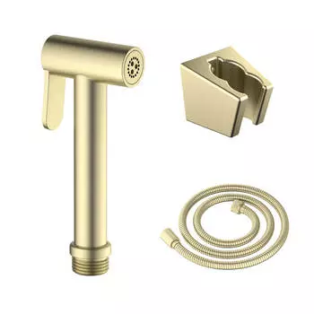 Гигиенический душ для унитаза Aquatek AQ2054BG золото