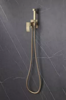 Гигиенический душ со смесителем Abber Wasserfall AF8625G золото матовое