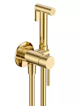 Гигиенический душ со смесителем AQUAme Siena AQM6217GG золото