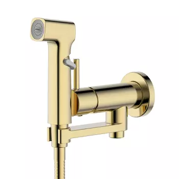 Гигиенический душ со смесителем Aquatek Ника AQ1819BG шлифованное золото