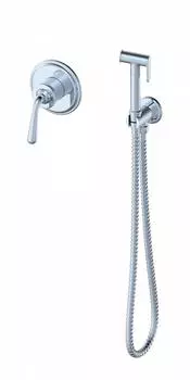 Гигиенический душ со смесителем WONZON & WOGHAND STEAM WW-88849008-CR хром