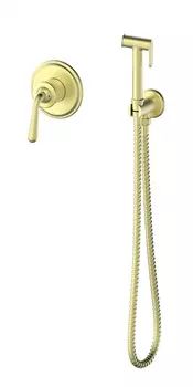 Гигиенический душ со смесителем WONZON & WOGHAND STEAM WW-88849008-BG золото