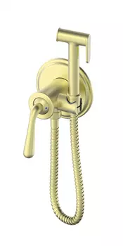 Гигиенический душ со смесителем WONZON & WOGHAND STEAM WW-88829008-BG золото