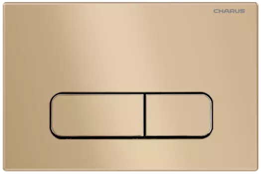 Кнопка для инсталляции Charus Elegia FP.320.51.01 матовый песок
