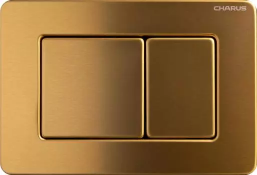 Кнопка для инсталляции Charus FP.310.BTG.05 брашированное золото