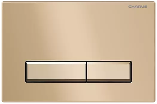 Кнопка для инсталляции Charus Raiden FP.321.51.01 матовый песок