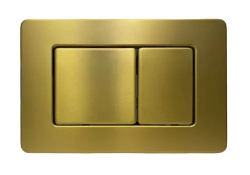 Кнопка для инсталляции Charus Robusto FP.310.BG.05 брашированное золото (темное)