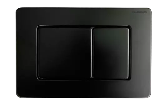 Кнопка для инсталляции Charus Robusto FP.310.MB.05 черная матовая