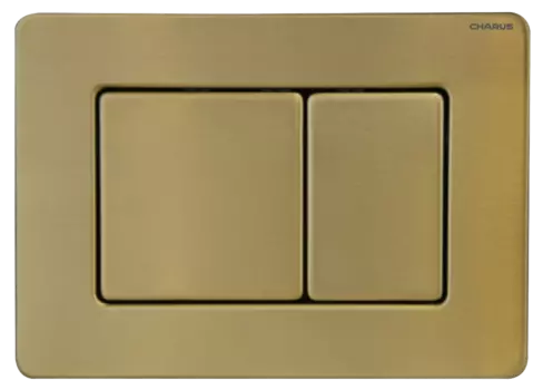 Кнопка для инсталляции Charus Robusto FP.310.BTG.05 брашированное золото (темное)