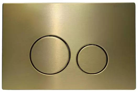 Кнопка для инсталляции Charus Robusto FP.330.BTG.05 брашированное золото (светлое)