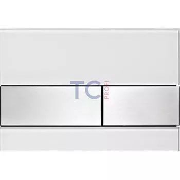 Кнопка для инсталляции Tece Planus 9240801 22x15 см