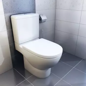 Напольный унитаз Roca Meridian 7342247000