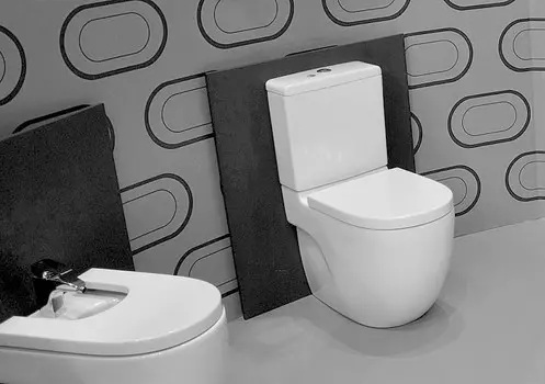 Напольный унитаз Roca Meridian-N 7342248000