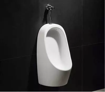 Писсуар подвесной CeramaLux Х541Р белый