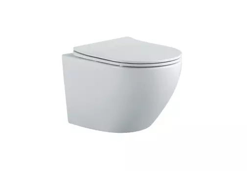 Подвесной унитаз Aquatek Европа AQ1901-MW безободковый, с крышкой микролифт, белый матовый