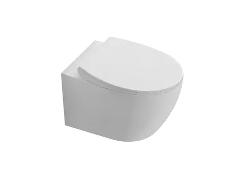 Подвесной унитаз Aquatek Сириус AQ1582T-00 безободковый, крышка с микролифтом, белый