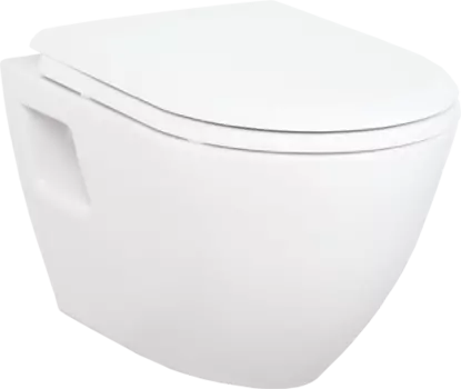 Подвесной унитаз Creavit Terra TP325.00000 с функцией биде